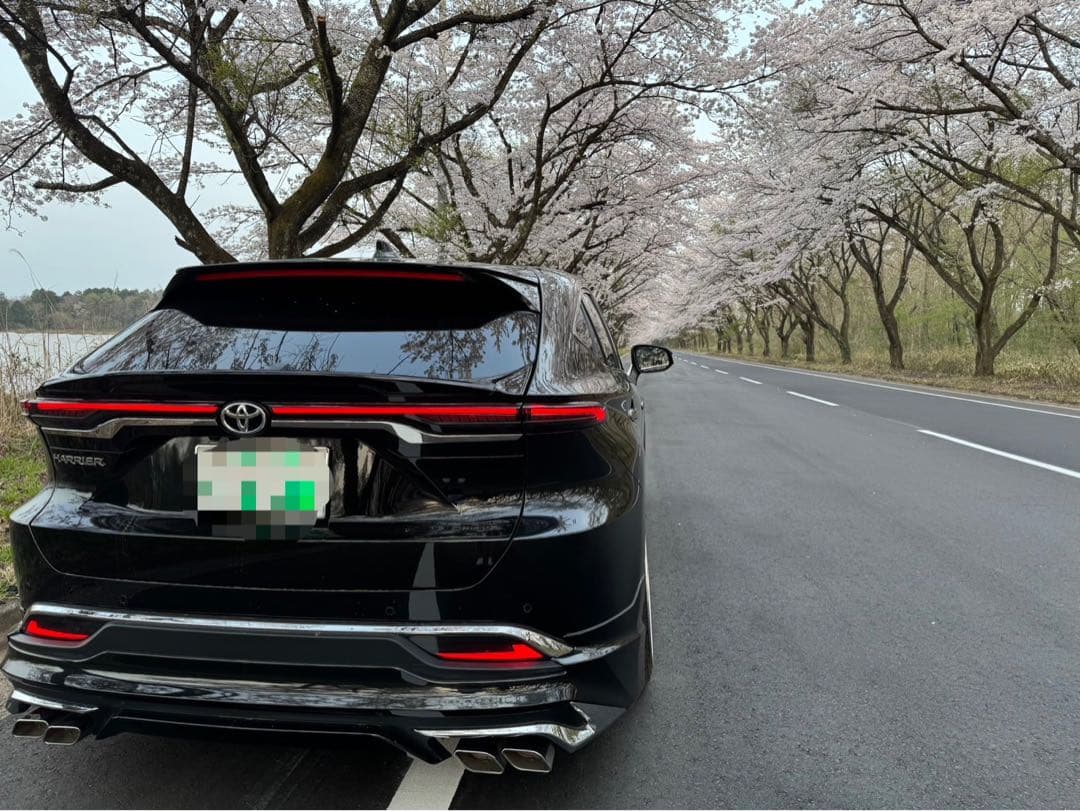 jk　80ハリアー　revier（レヴィーア）　テールランプ