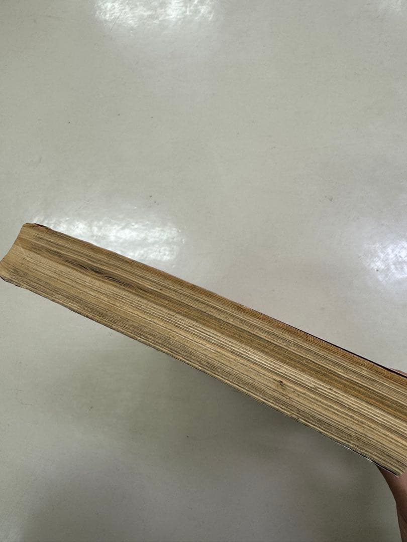 週刊少年ジャンプ 1995年7号 ドラゴンボール ワイドスクリーン表紙 ポスター