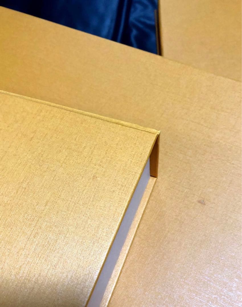 最終価格　ルイヴィトン　Tシャツ等衣類、マフラー等空箱　薄型タイプ16箱