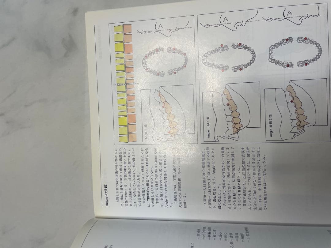 【絶版】機能咬合のリコンストラクション