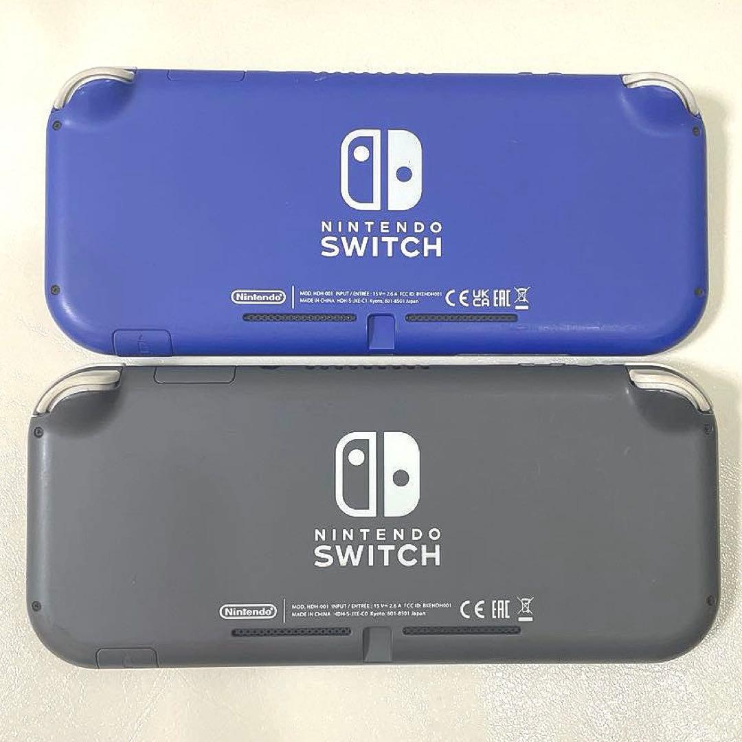 Switchライト ブルー グレー 本体のみ lite スイッチ ジャンク