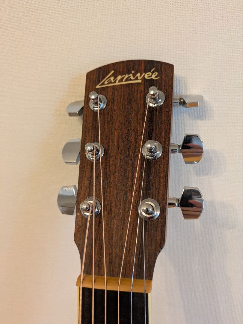L-02 / Larrivee（アコースティックギター）