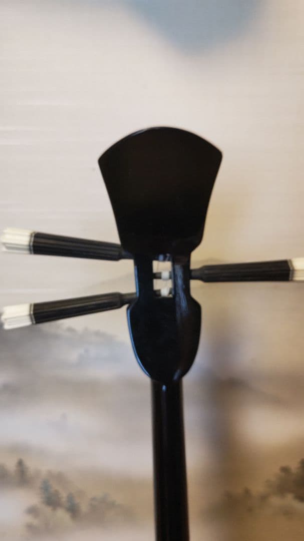 沖縄三線　本皮　蛇皮　 ソフトケース付　　黒塗