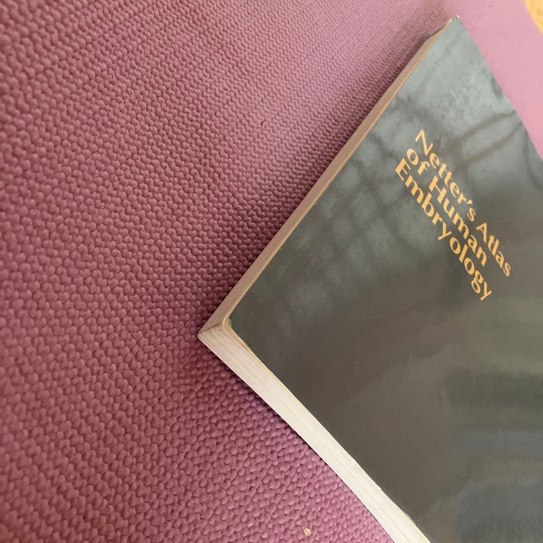 ネッター発生学アトラス