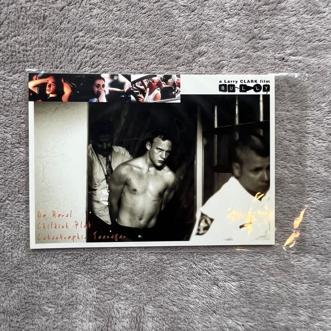希少 Larry Clark 映画 BULLY パンフレット DVD セット