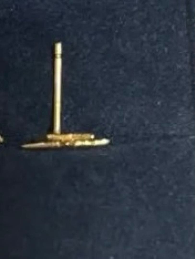 透*様 stellaピアス　片耳