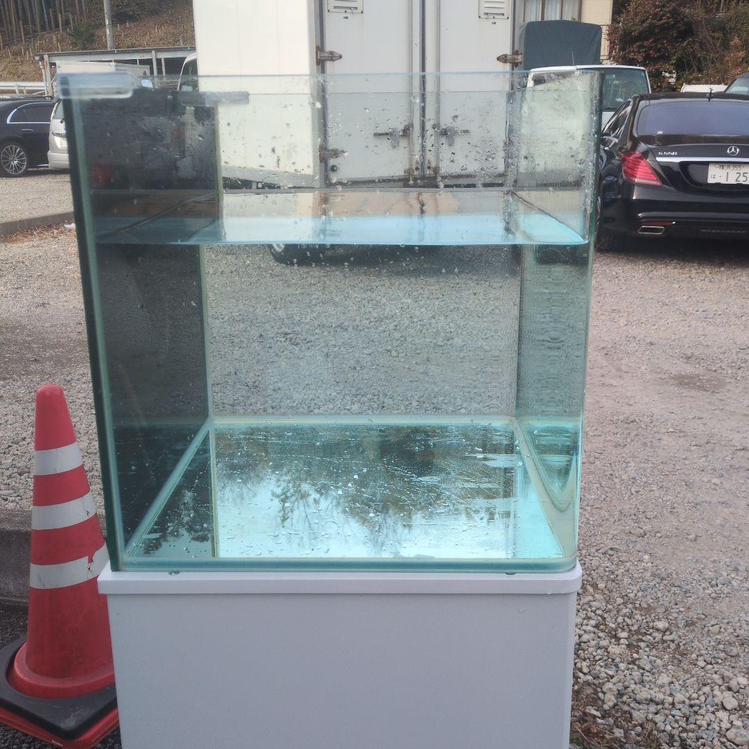 たらこスパゲッティ 水槽、水槽台、フィルターセット