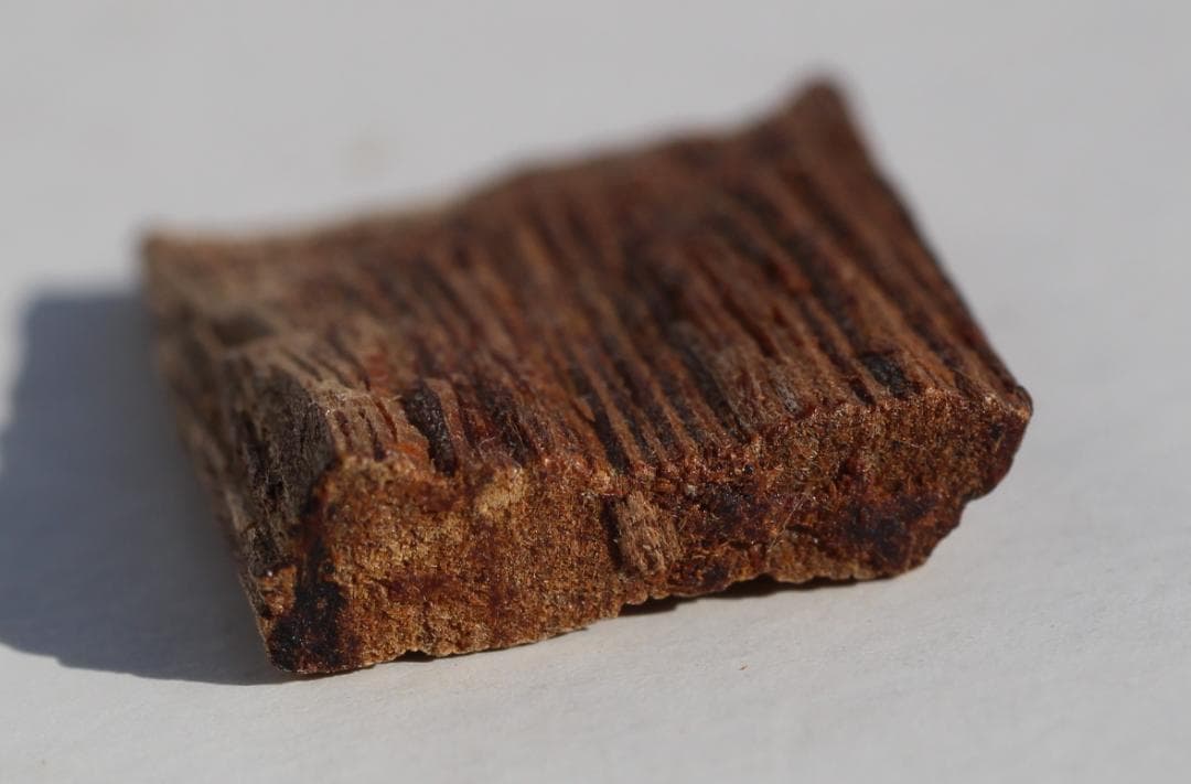 香木 古渡命銘木「浅緑」約0. 6g 伽羅 お香 沈香奇南 奇楠