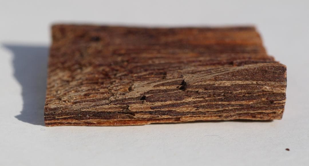 香木 古渡命銘木「浅緑」約0. 6g 伽羅 お香 沈香奇南 奇楠