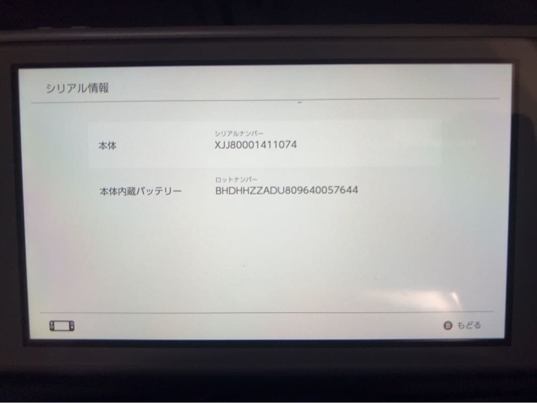 Nintendo Switch Lite 本体箱SDカード125GBイヤホン付き