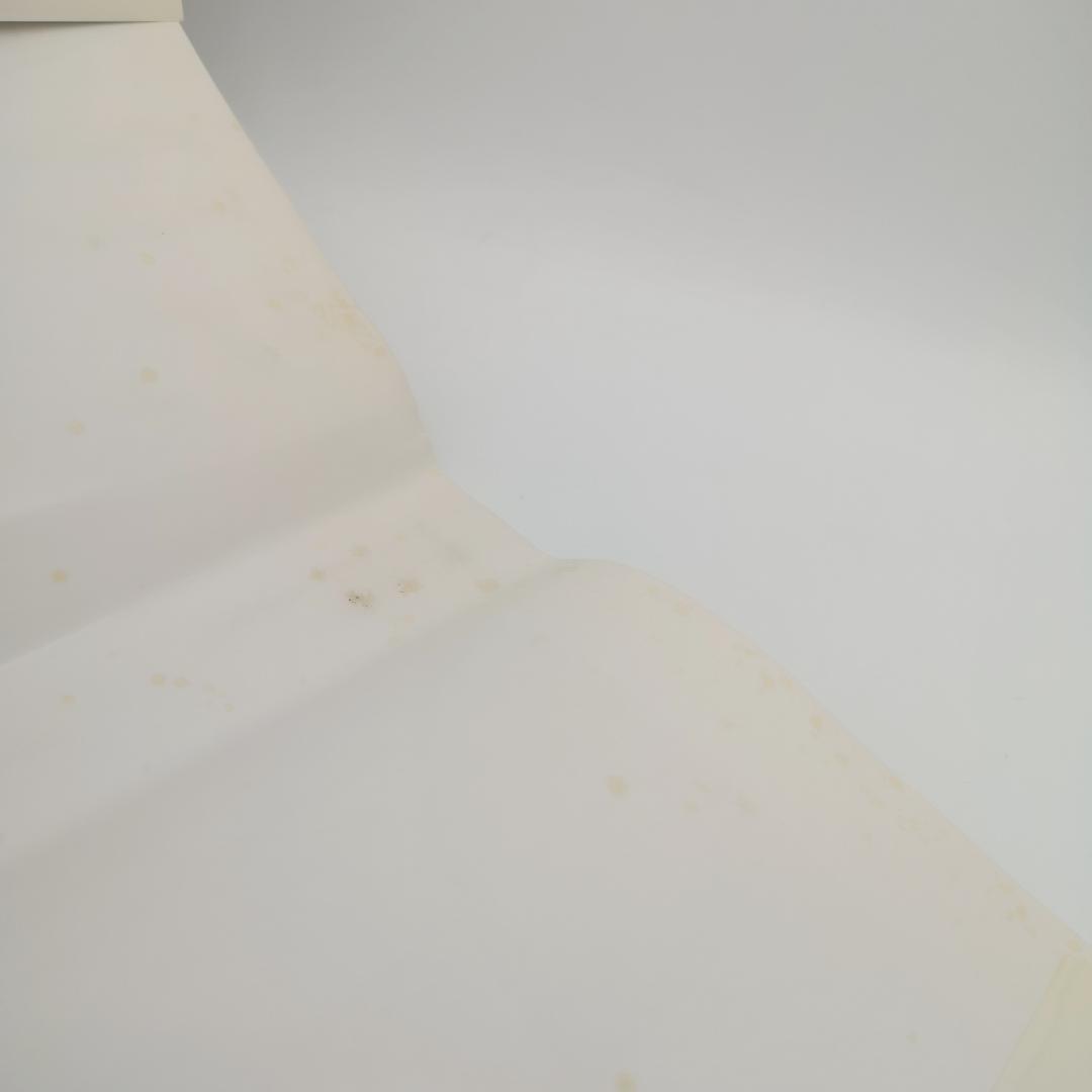 シェーカー SHAKER 生活と仕事のデザイン／ジューン・スプリッグ