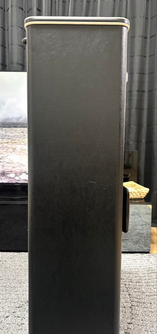 YSL-354V バルブトロンボーンのハードケース