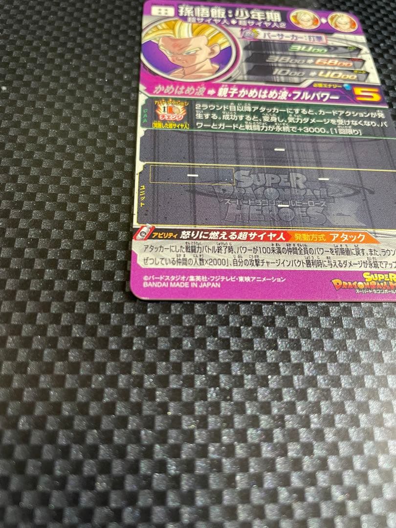 UM12-SEC3 孫悟飯：少年期①