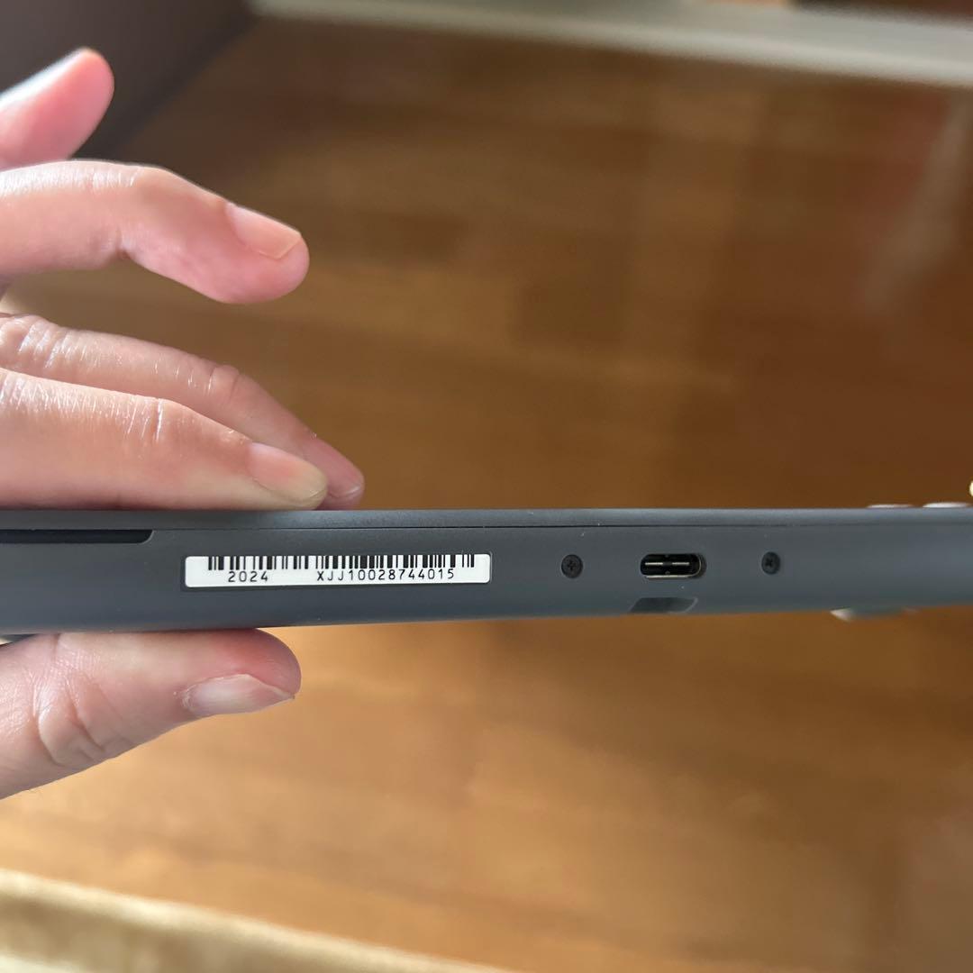 【美品】Nintendo Switch Lite グレー 本体 動作品