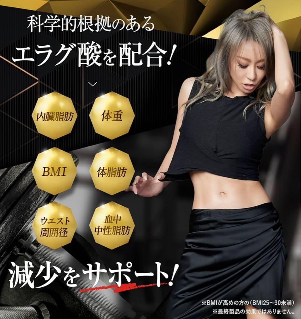 ダイエットサプリ　キラーバーナーⅡ