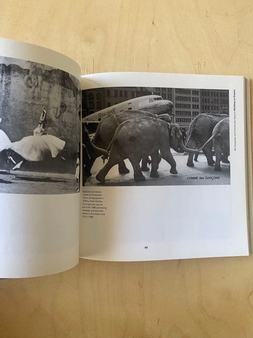 Rei Kawakubo and Comme des Garcons　川久保玲