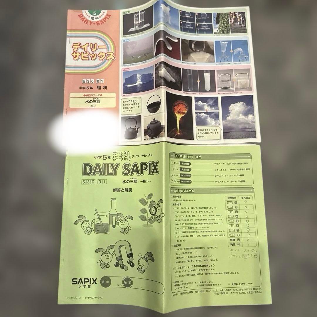 サピックスSAPIX　5年　理科　1年分　テキスト　フルセット