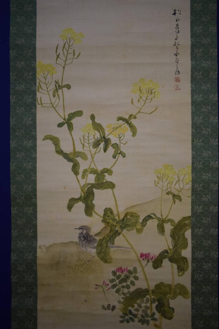 真作/藤井松山/塢午晴/菜の花/小禽図/桐共箱付/布袋屋掛軸HJ-48