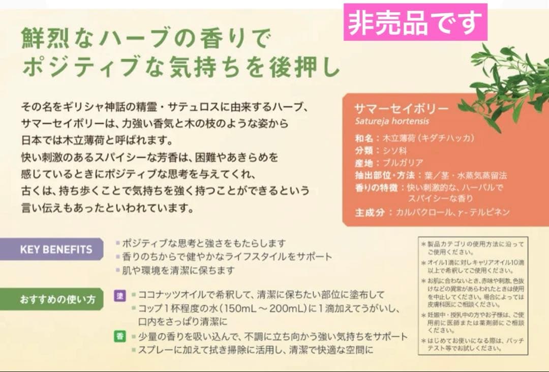 ゼンジェスト　ウィンターグリーン　ターメリック　サマーセイボリー