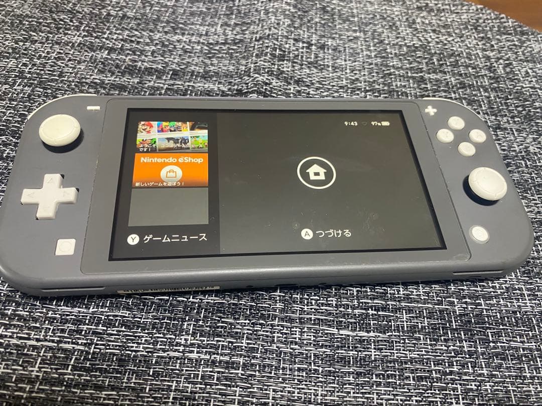 Nintendo Switch Lite 本体　グレー　充電器