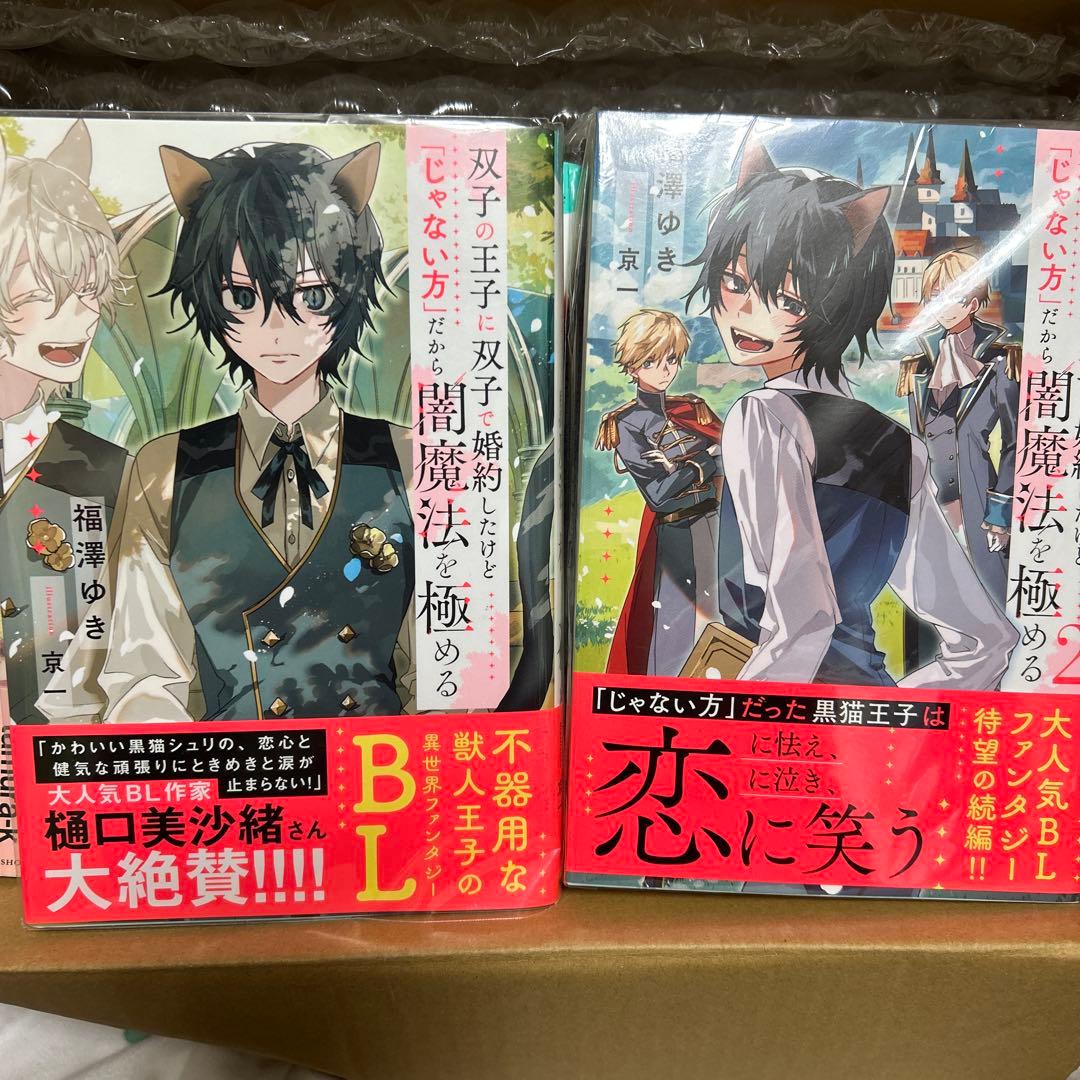 bl小説纏め売り　大判サイズセット