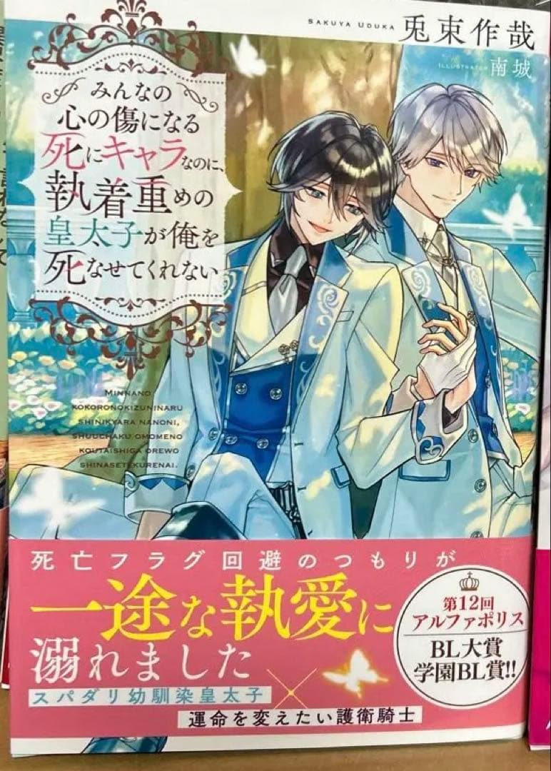 bl小説纏め売り　大判サイズセット