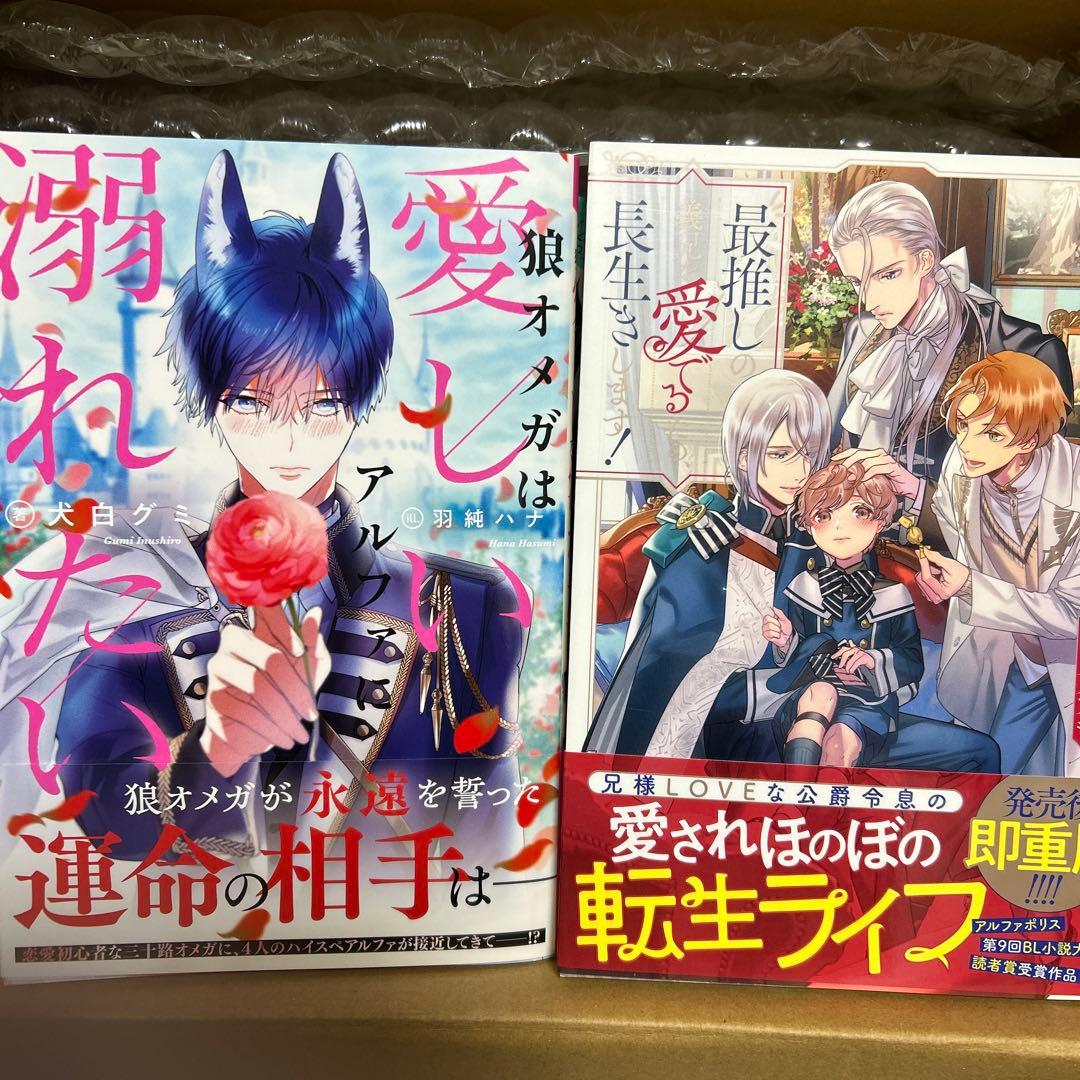 bl小説纏め売り　大判サイズセット