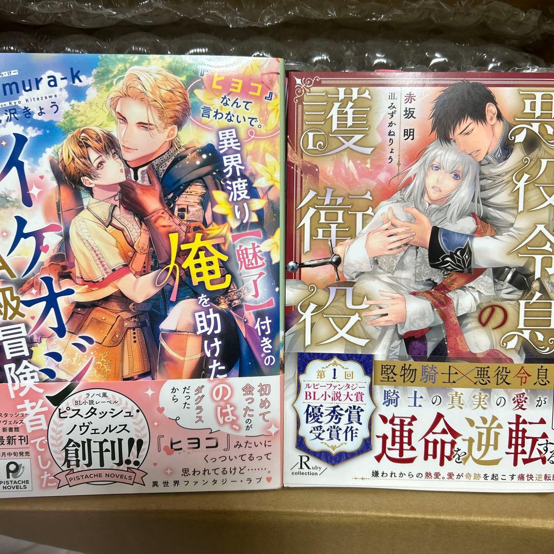 bl小説纏め売り　大判サイズセット