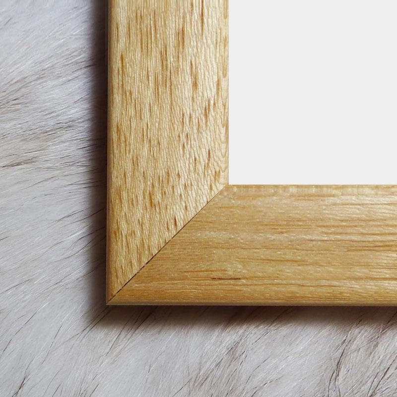 額装済/サンダーバニー 限定150枚/ロドニー グリーンブラット