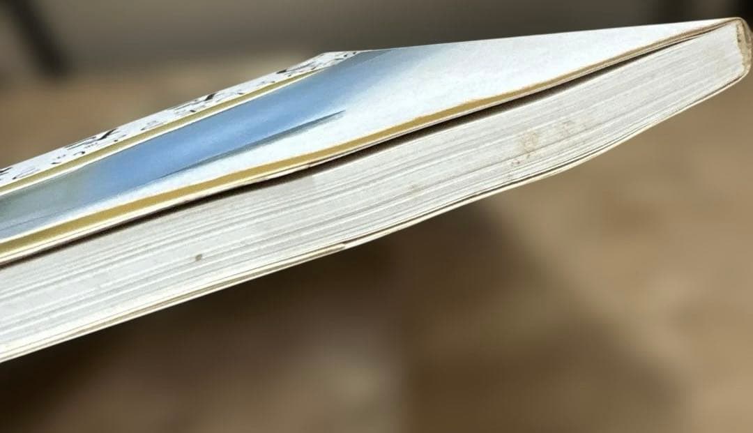 川内倫子　うたたね　写真集　初版　（ポストカードつき）