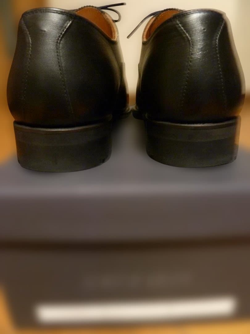 【びゃーー！】スコッチグレイン　シャインオアレイン