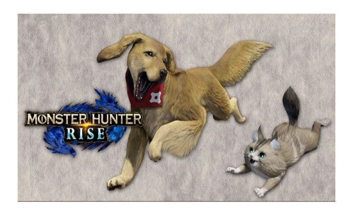 限定 モンスターハンターライズ 狩友ダブルパック amiibo3種+タンブラー