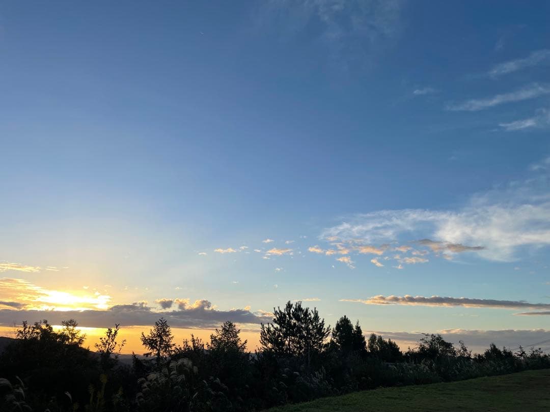 Nikon D5300「Jun'ly」