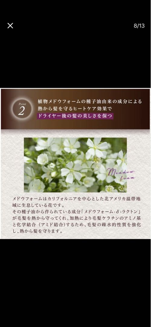 京極シグネチャーシャンプー ・トリートメント　セット！