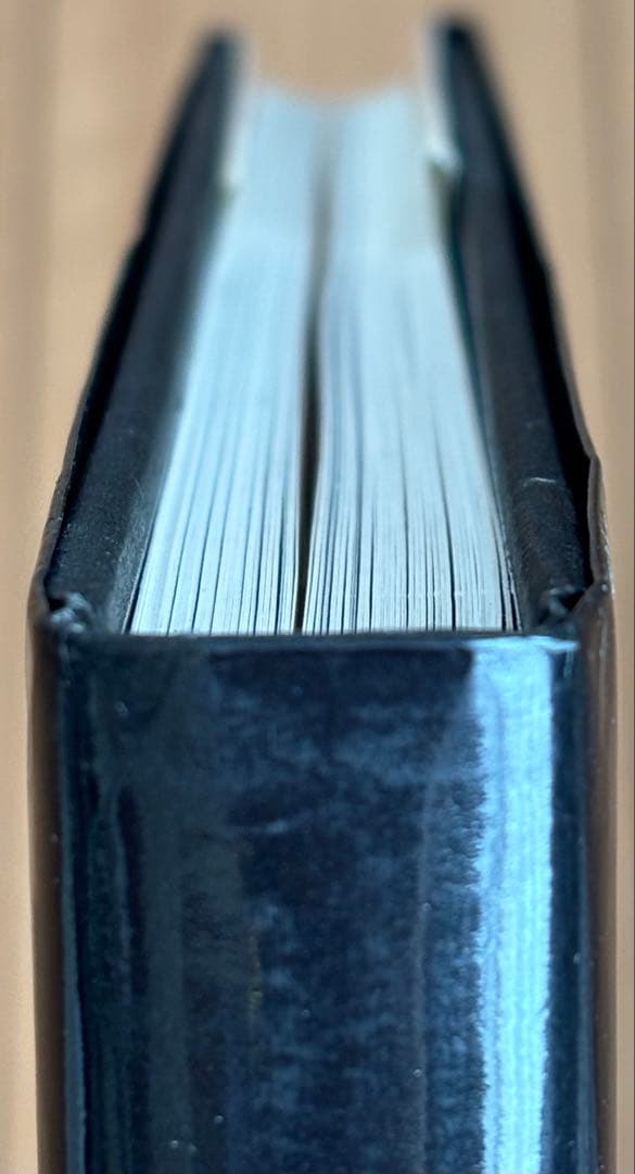 ドイツ・ベルリン 19世紀の刺繍 作品 図案集「Berlin Work」