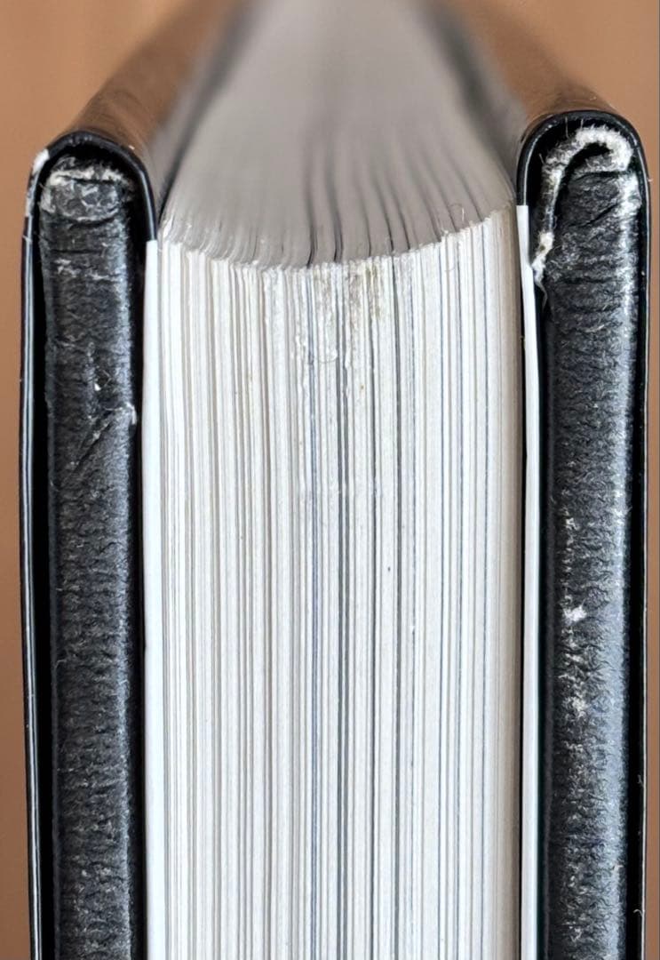 ドイツ・ベルリン 19世紀の刺繍 作品 図案集「Berlin Work」