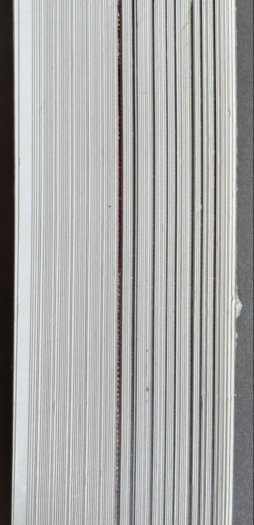 ドイツ・ベルリン 19世紀の刺繍 作品 図案集「Berlin Work」