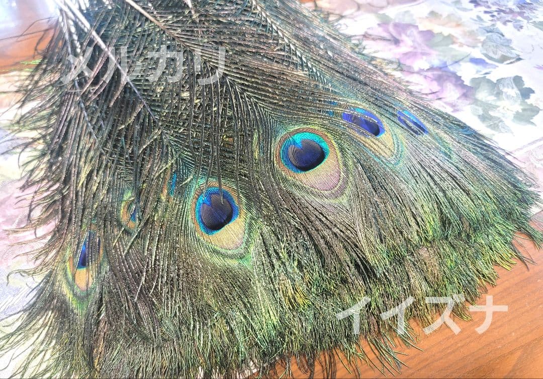 孔雀の羽根 ピーコックアイ 300本 コエポン様ご依頼品