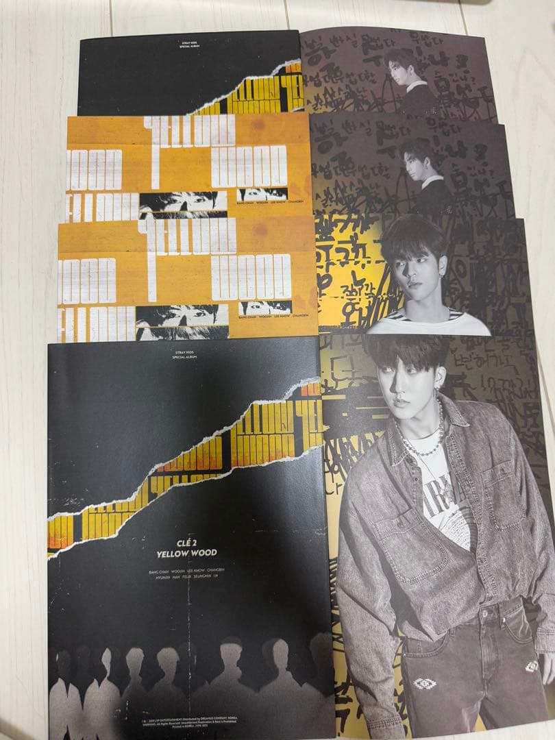 StrayKids ストレイキッズ スキズ アルバム CD まとめ売り