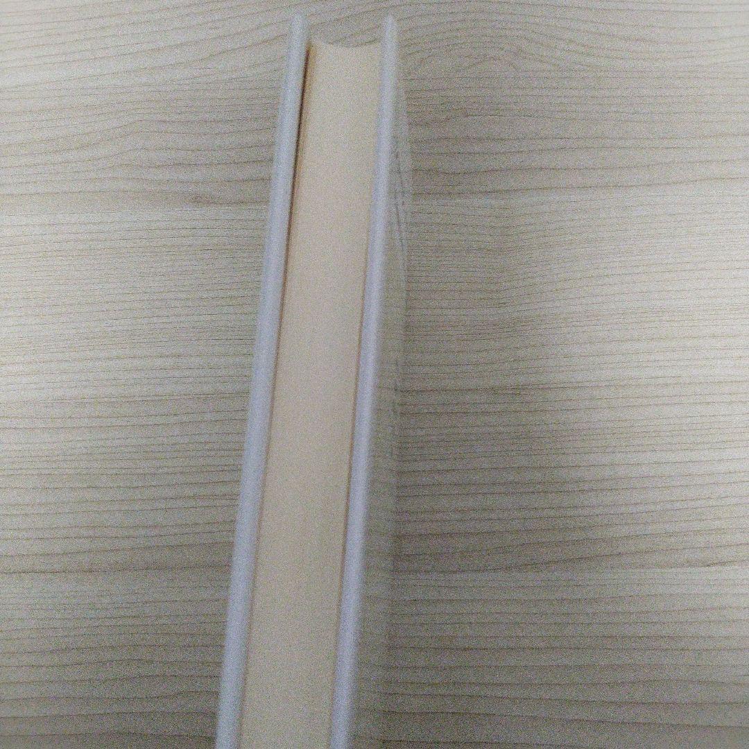 ショーペンハウアー哲学の再構築