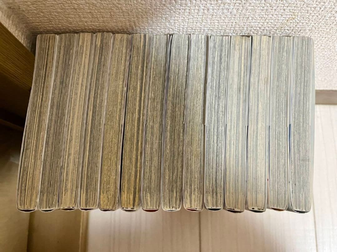 新機動戦記ガンダムWエンドレスワルツ敗者たちの栄光　全巻セット　1巻～14巻