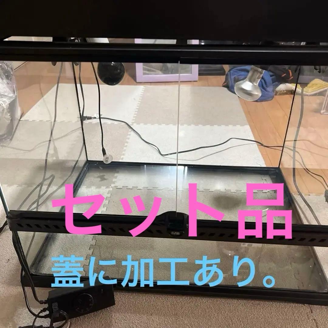 。専用 エキゾテラGEX EXOTERRA グラステラリウム6045