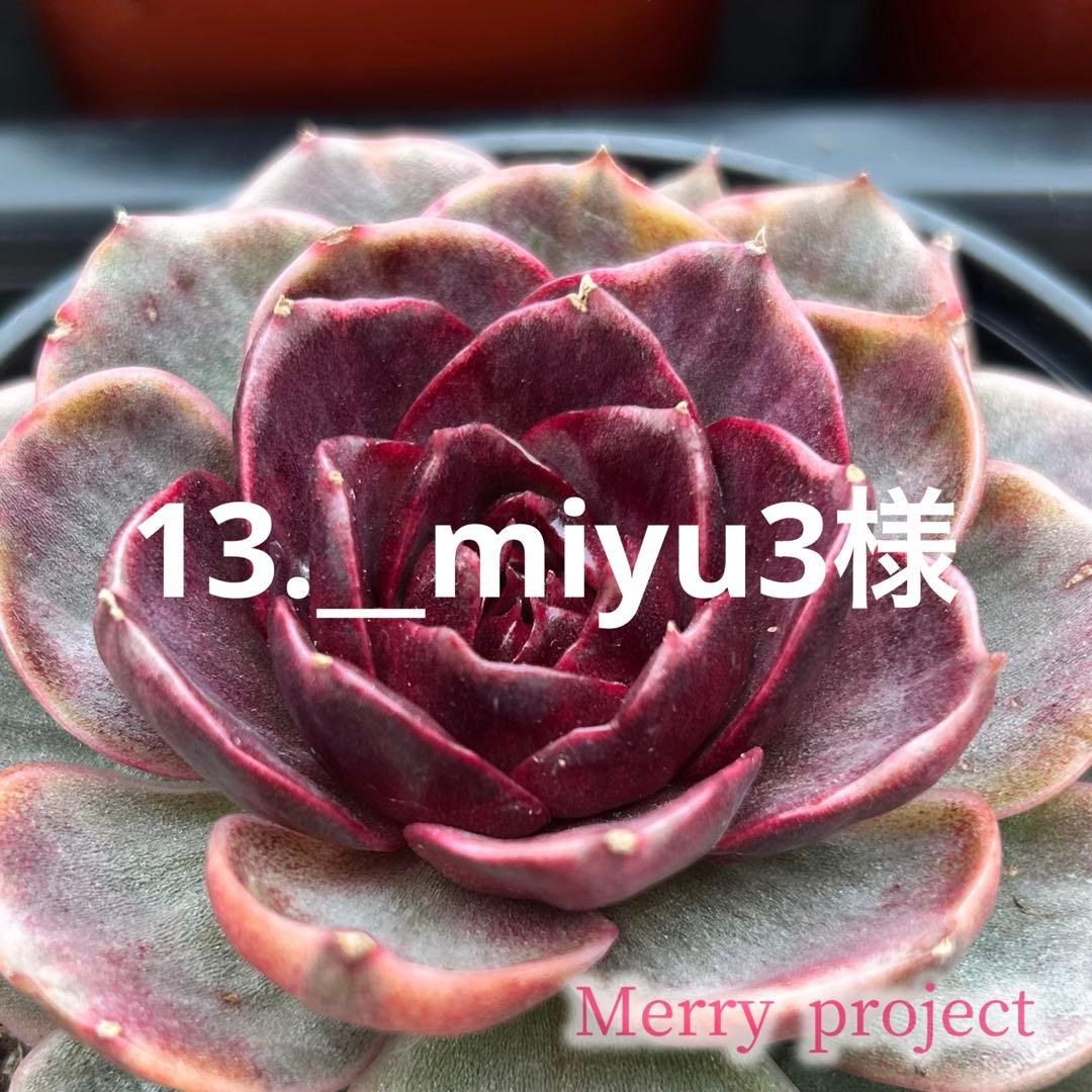 13._miyu3様