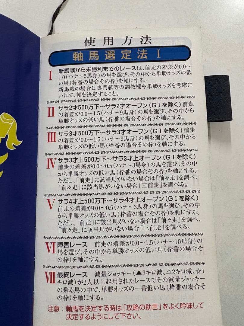 【超レア】競馬必勝法本 覇王　発売元開成堂　定価8万円