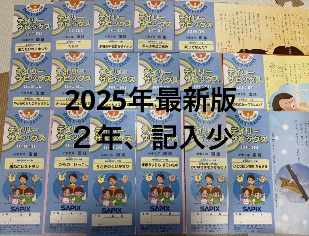 デイリーサピックス国語　２年生　2025年版 全17冊