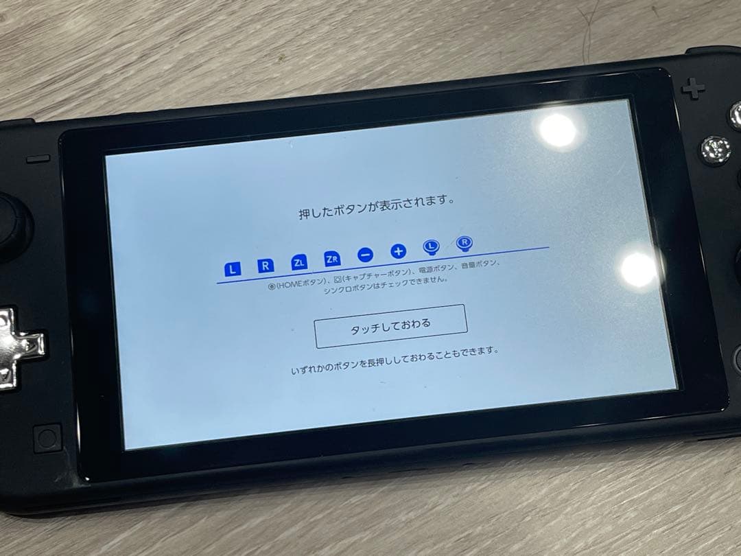 【カスタムカラー】 Switch Lite 本体　マッドブラック×シルバー