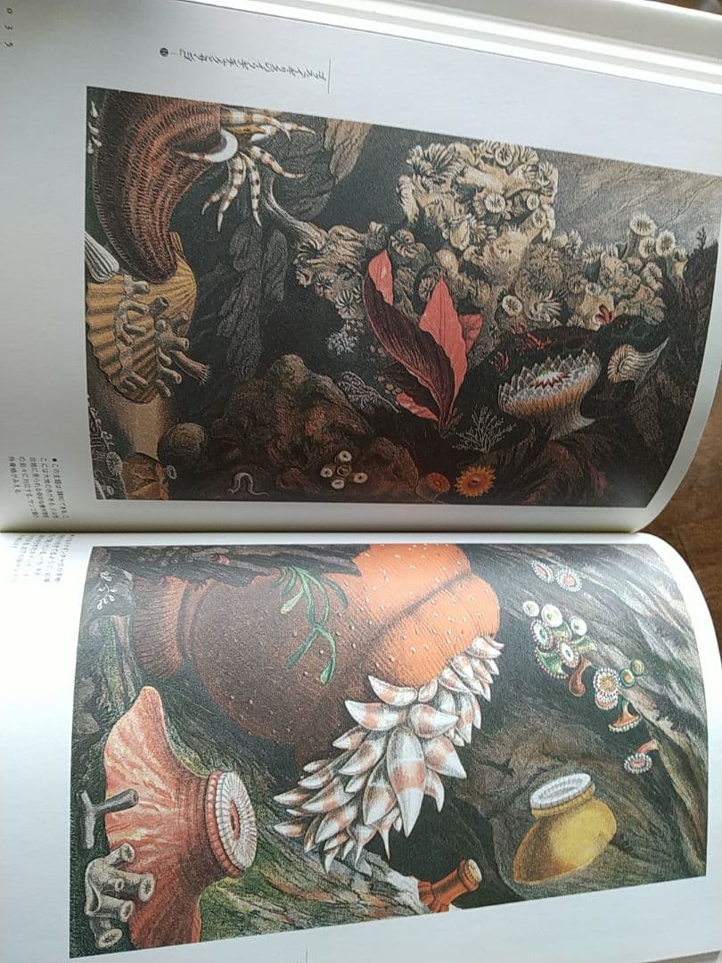 「ファンタスティック12」 全12巻セット 荒俣宏