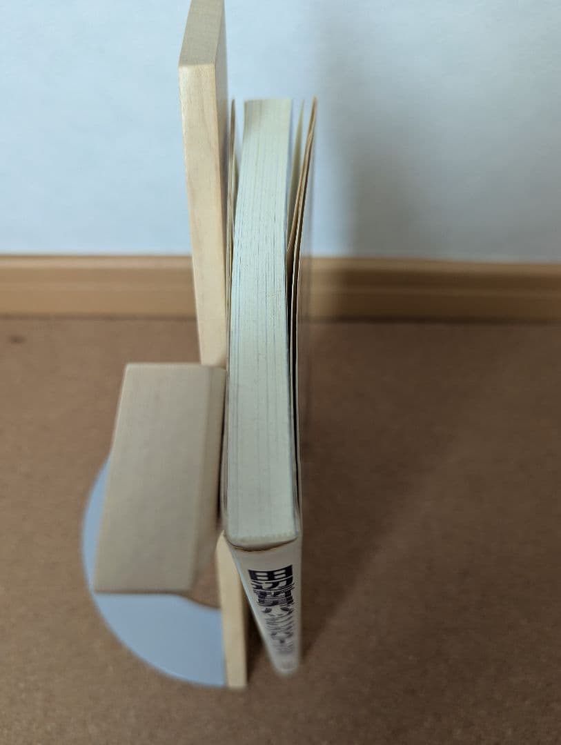 田辺哲男　バッシングパターンブック