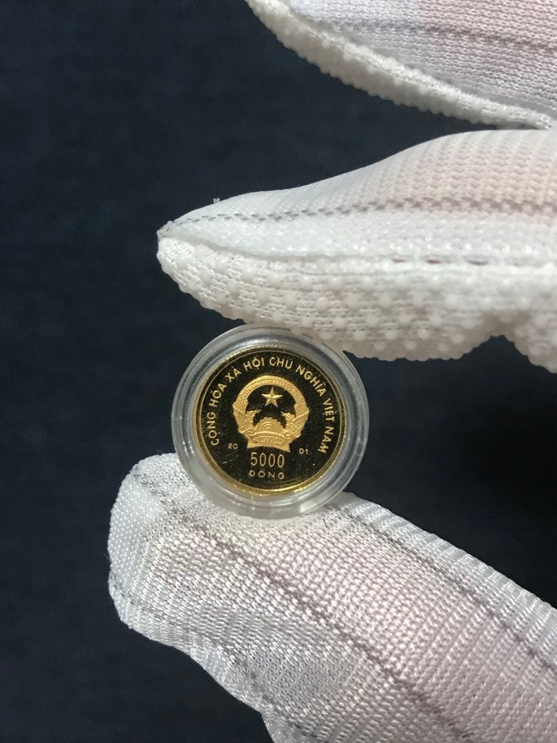 ベトナムドン　ベトナム 「巳年」5000ドン金貨　(セール中)