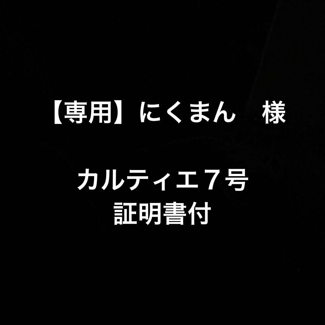 【専用】にくまん　様